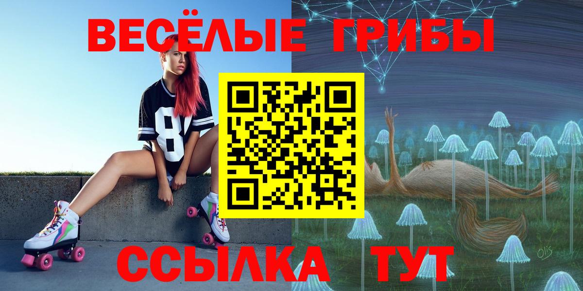 Псилоцибиновые грибы прущие грибы Кимры